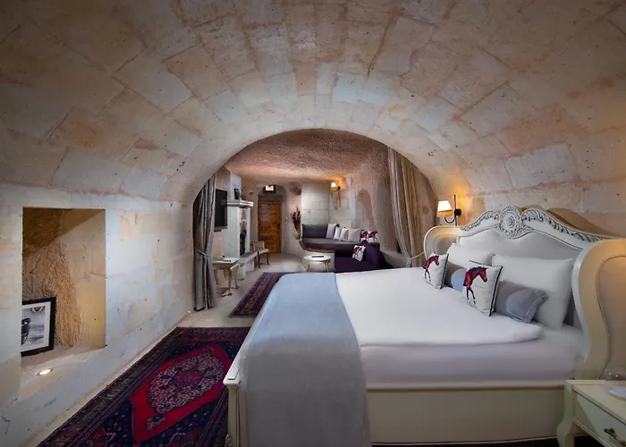 Ξενοδοχείο Vigor Cappadocia - Special Class